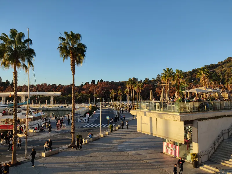 The Muelle Uno promenade with palm trees, people walking and Gibralfaro hill in the background.